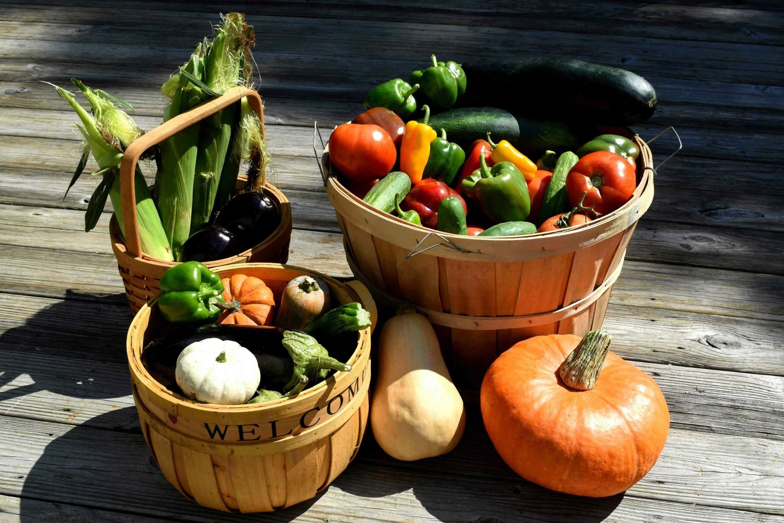 Optimizing Energy Intake for Field Hockey Performance