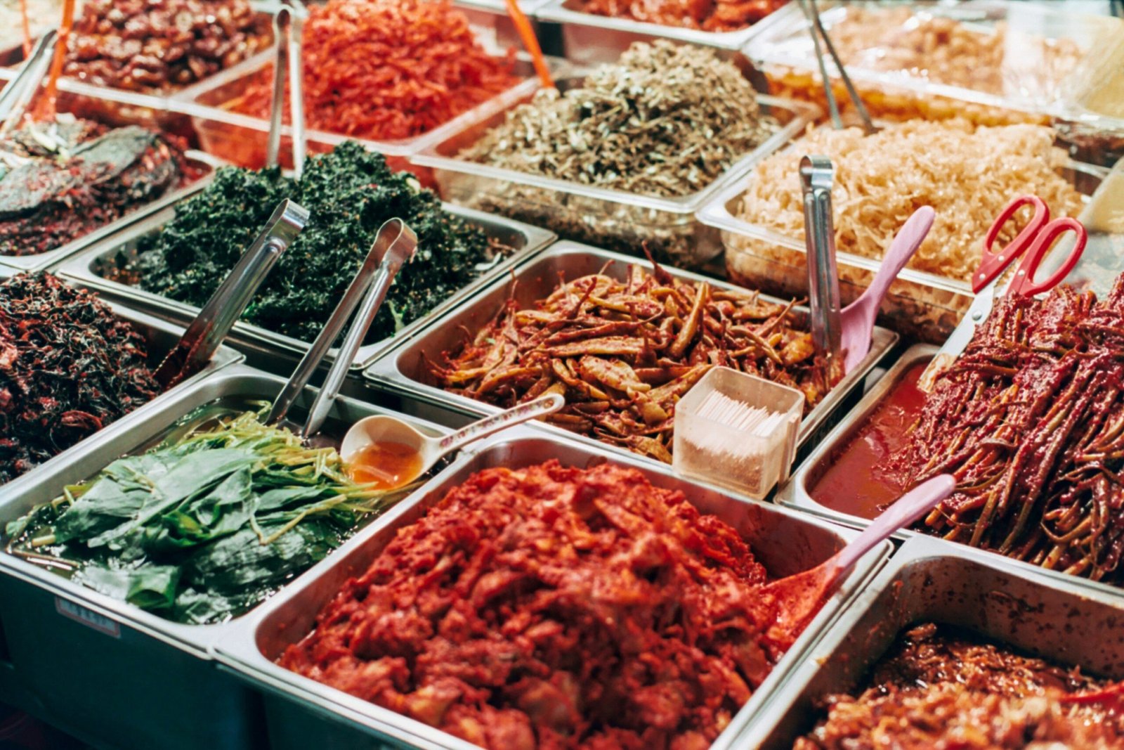 Fermented Food and Gut Health Guide