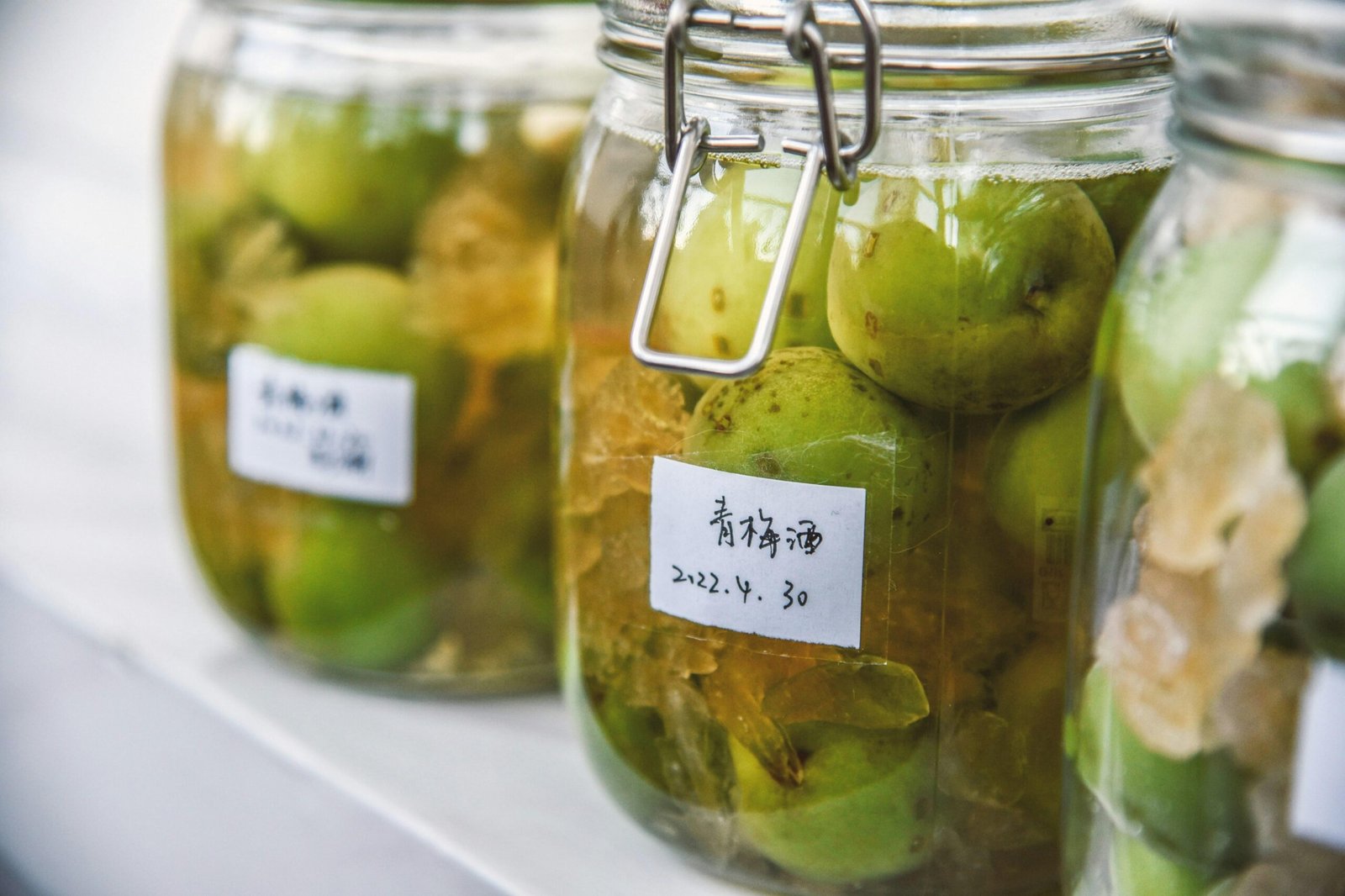 Fermented Foods for Weight Loss