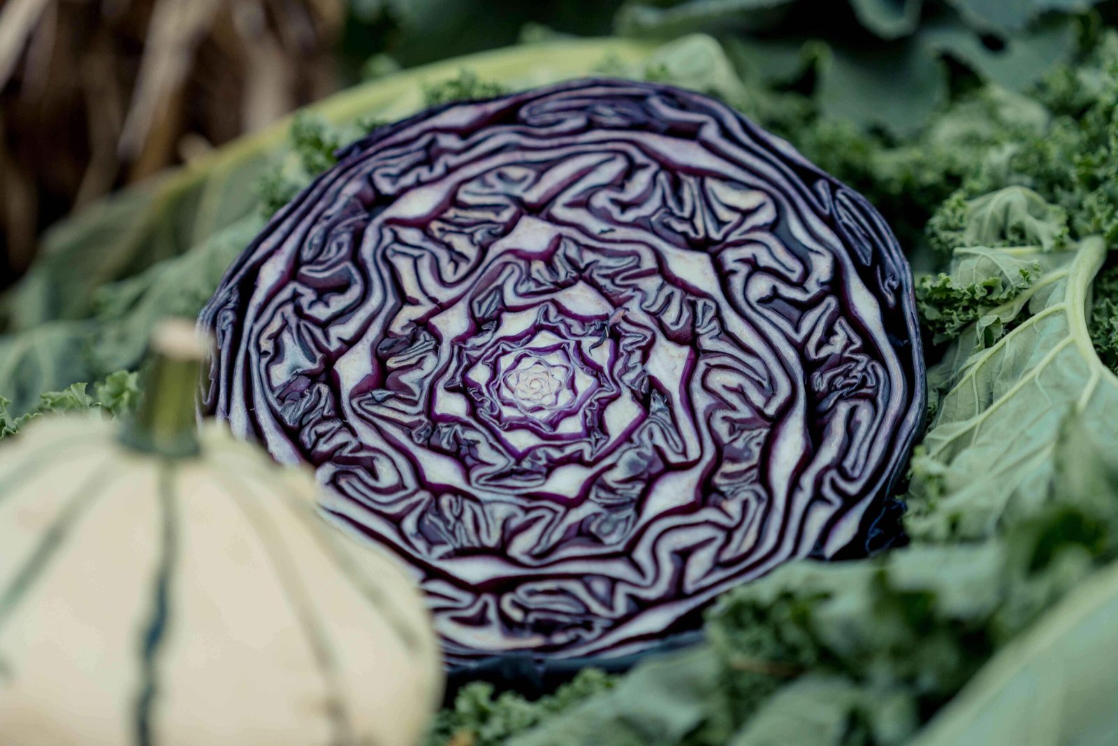 Low-FODMAP Food List