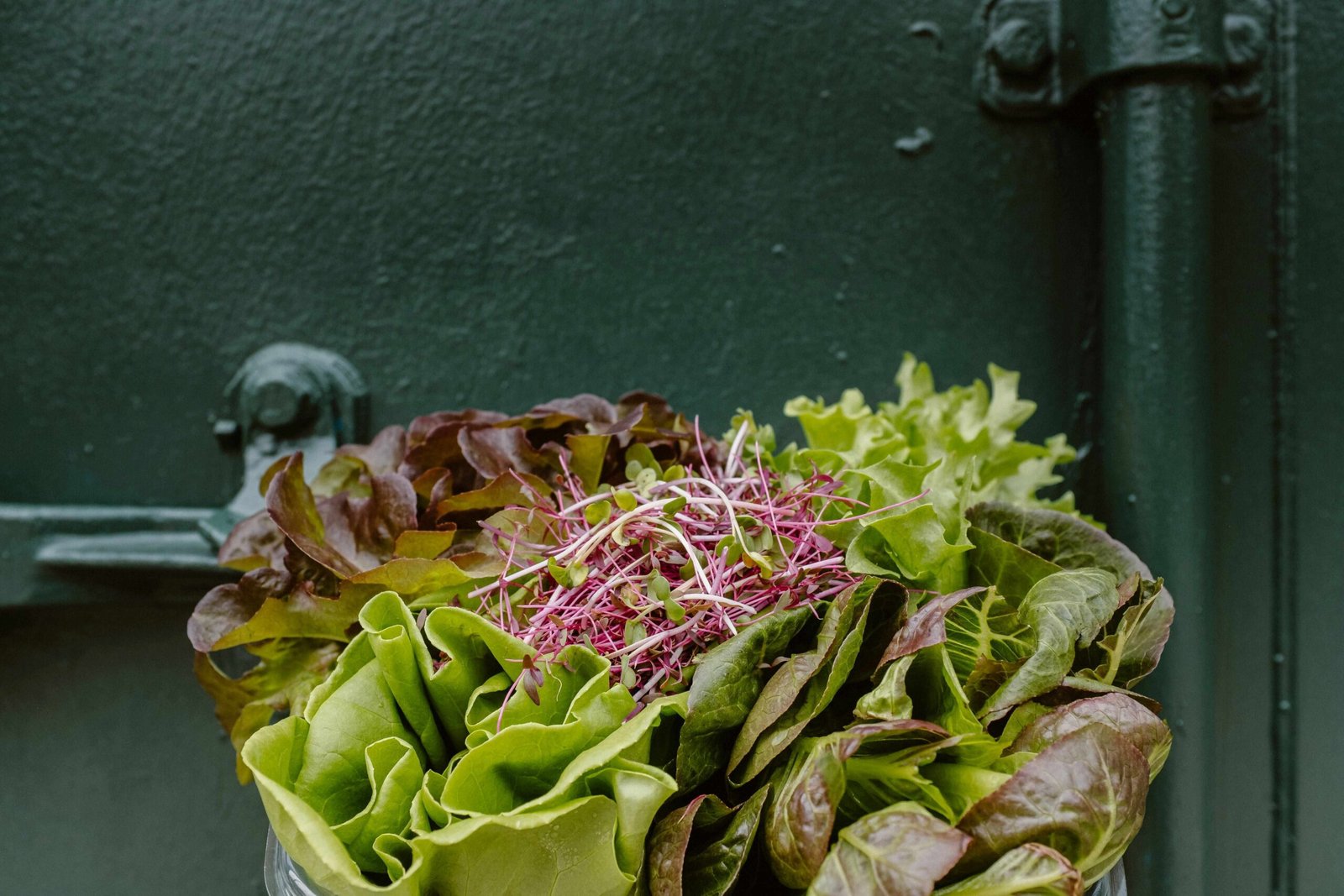 Vegetarian Protein-Rich Snack Ideas