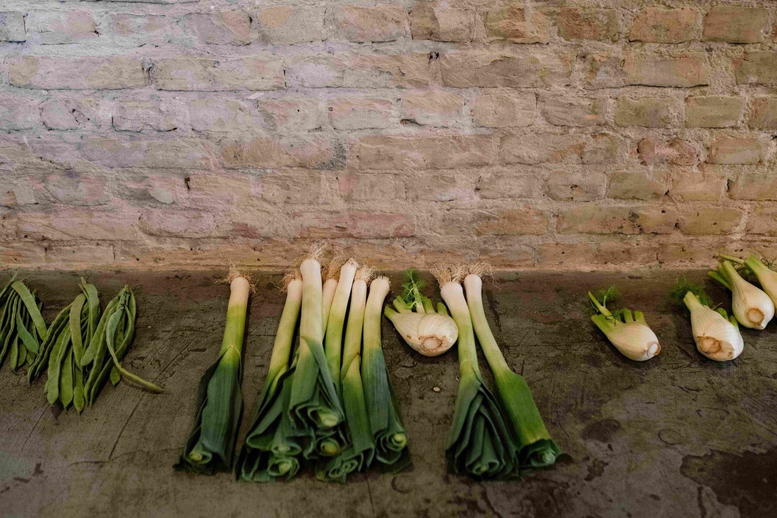 Nutritional Considerations for Elderly Vegans