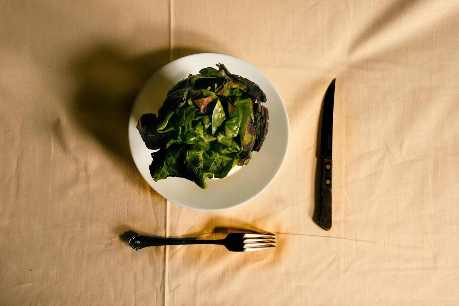 Nutritional Strategies for Hypertension Management in Seniors