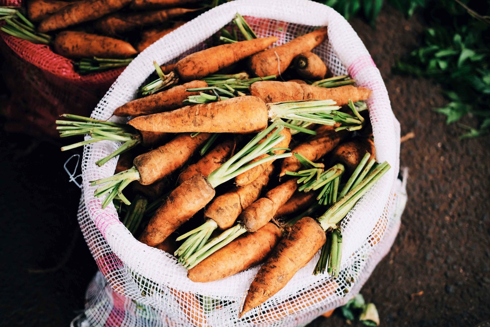 Nutritional Optimization Through Whole Grains for Elderly Individuals
