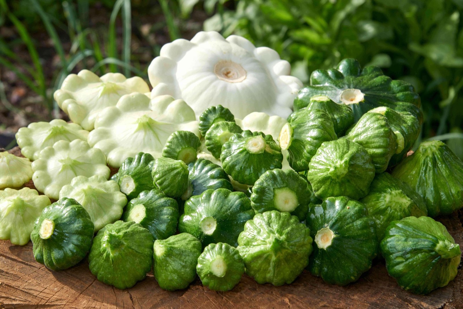 Optimized Nutritional Strategies for Elderly Across Seasons