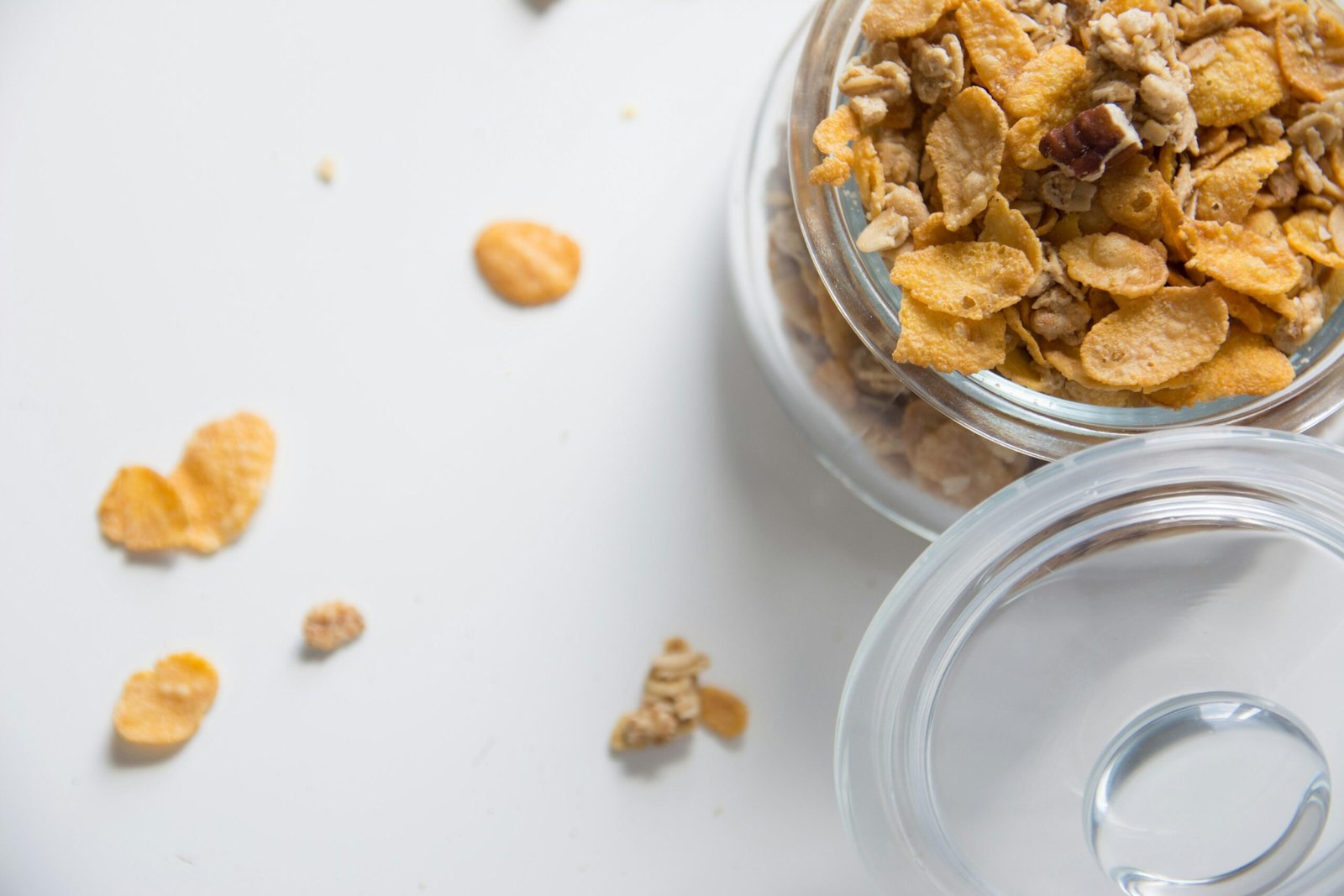 Optimal Macronutrient Distribution for Aging Adults