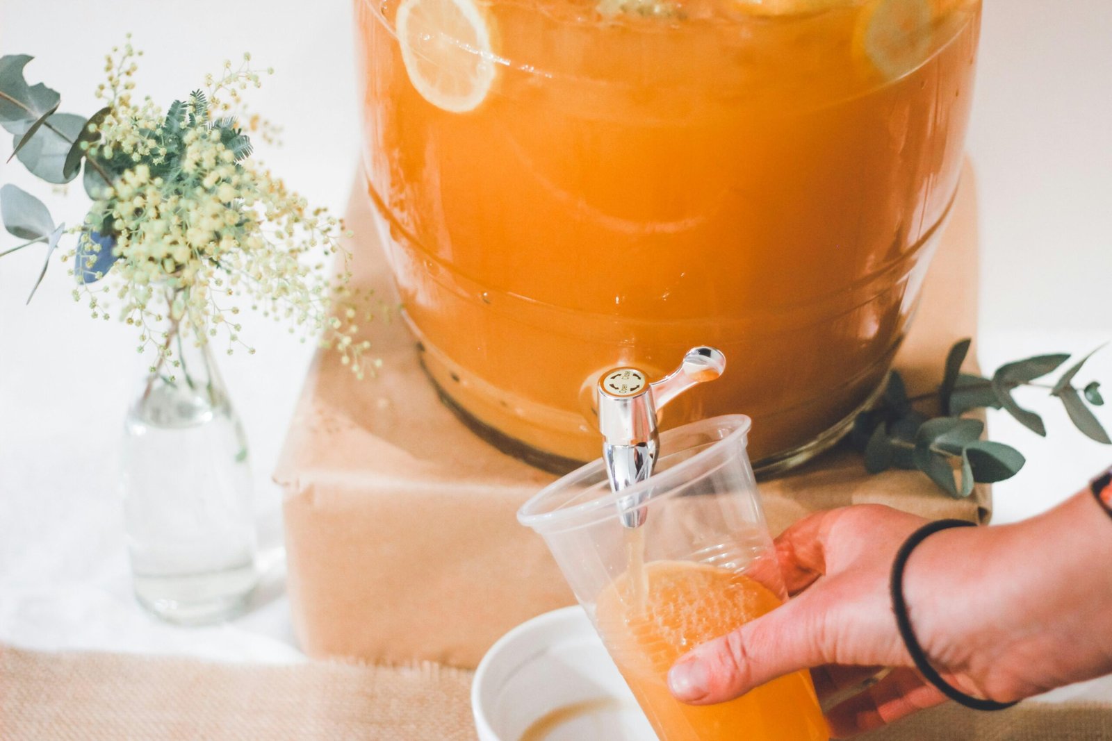 Organic Plant-Based Smoothies for Wellness