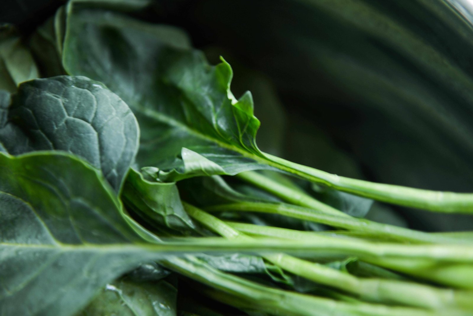 Nutritional Strategies for Cognitive Vitality in Later Years