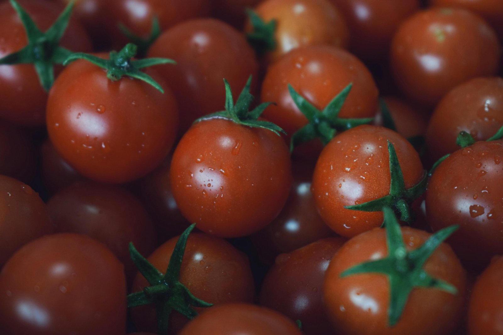 Vegan Meal Plan for Anti-Aging