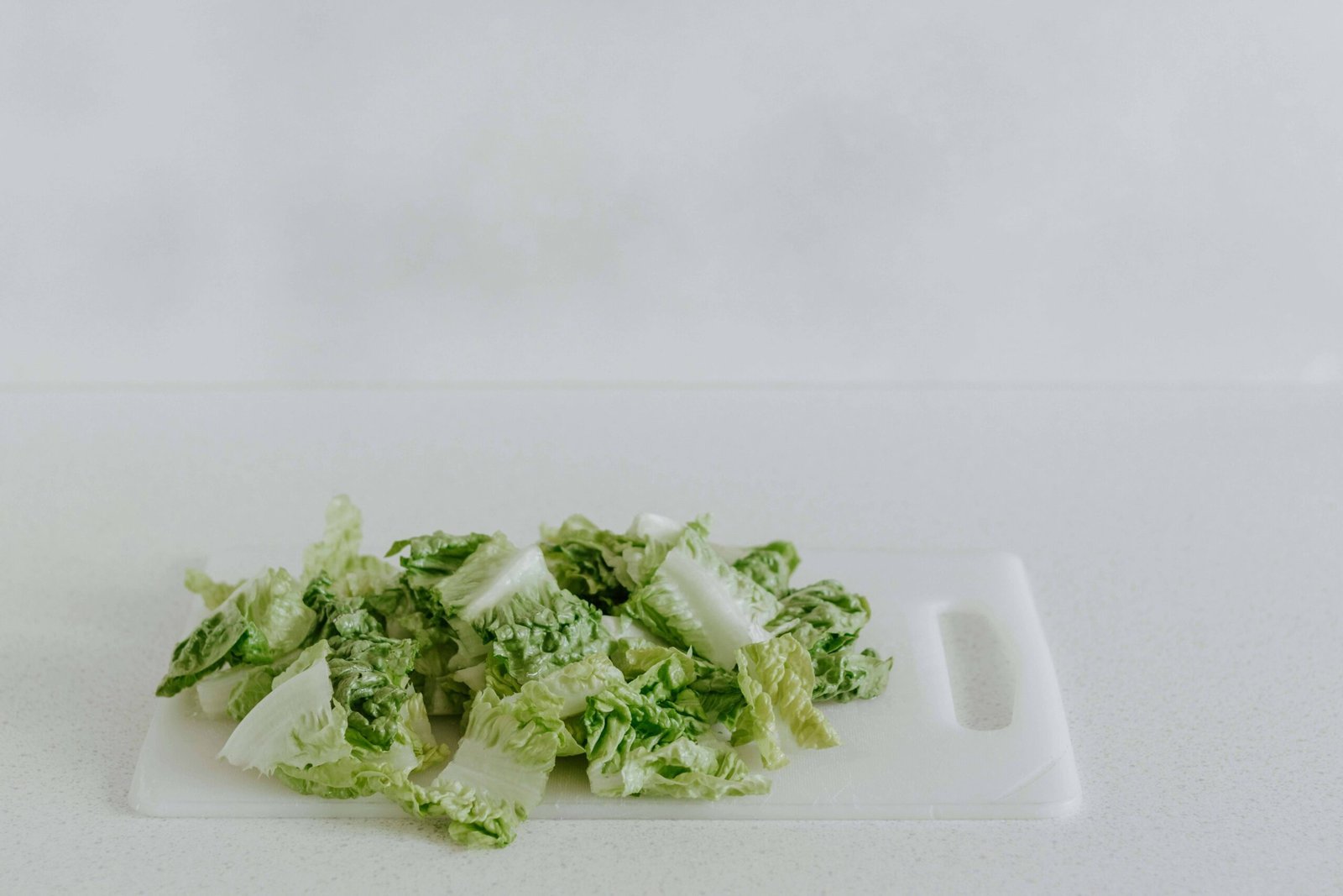 Longevity Focused Meal Schedule
