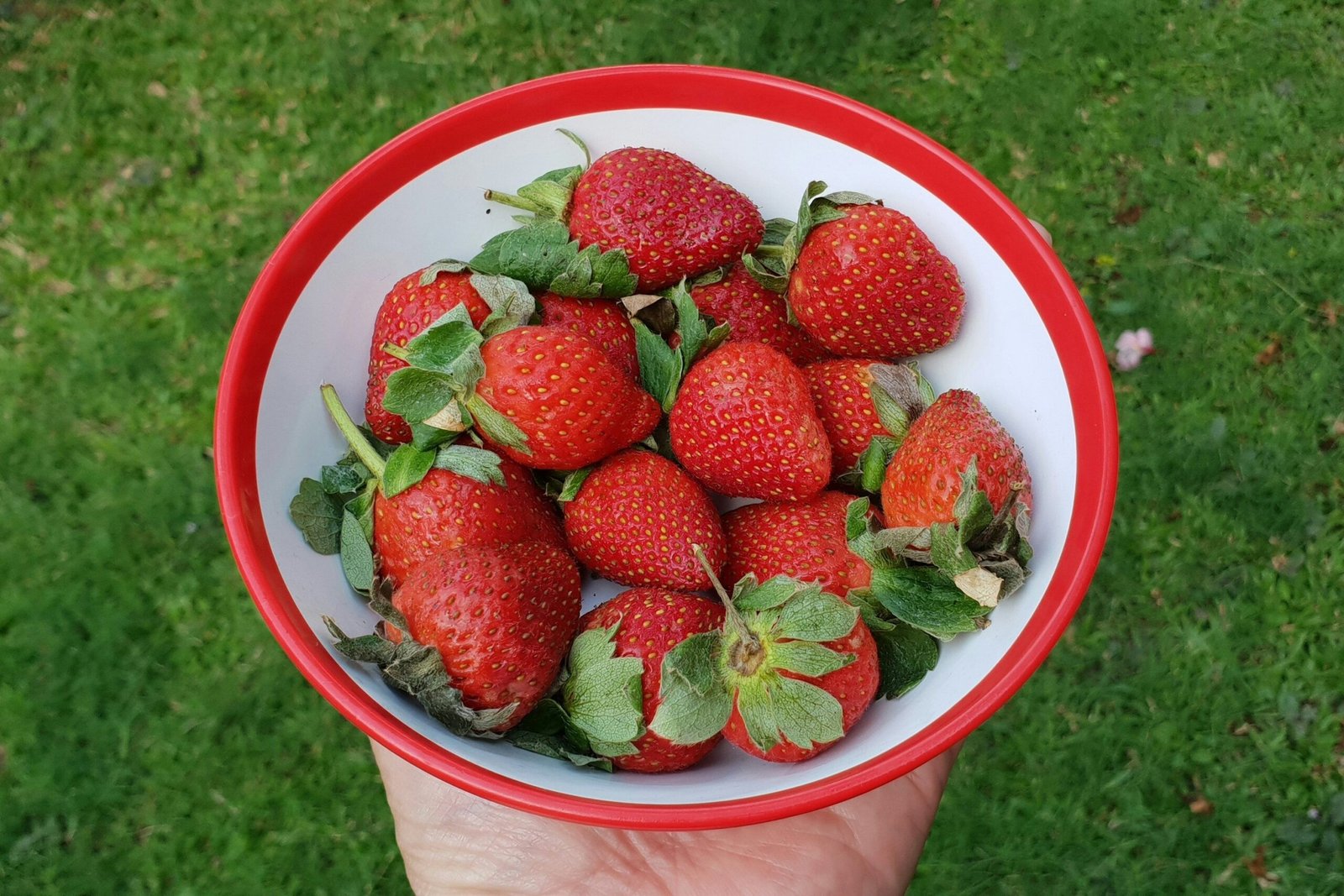 Liver Healing Meal Plan for One Week