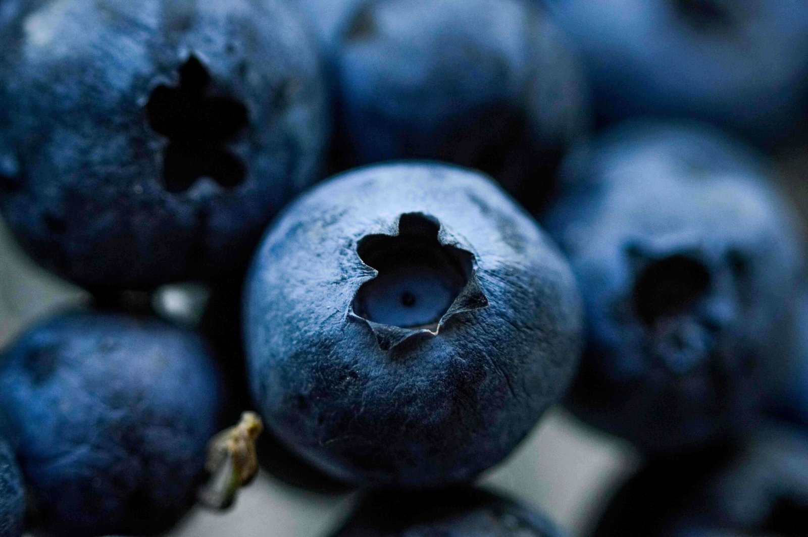 High-Protein Vegetarian Smoothies for Optimal Nutrition