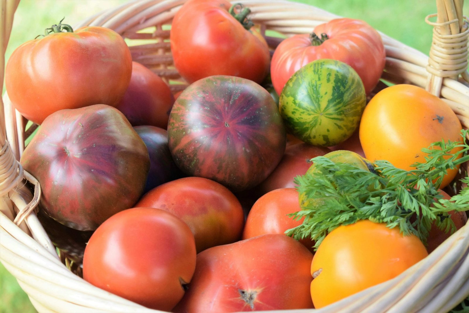 Vegetarian Meal Plan for Weight Maintenance