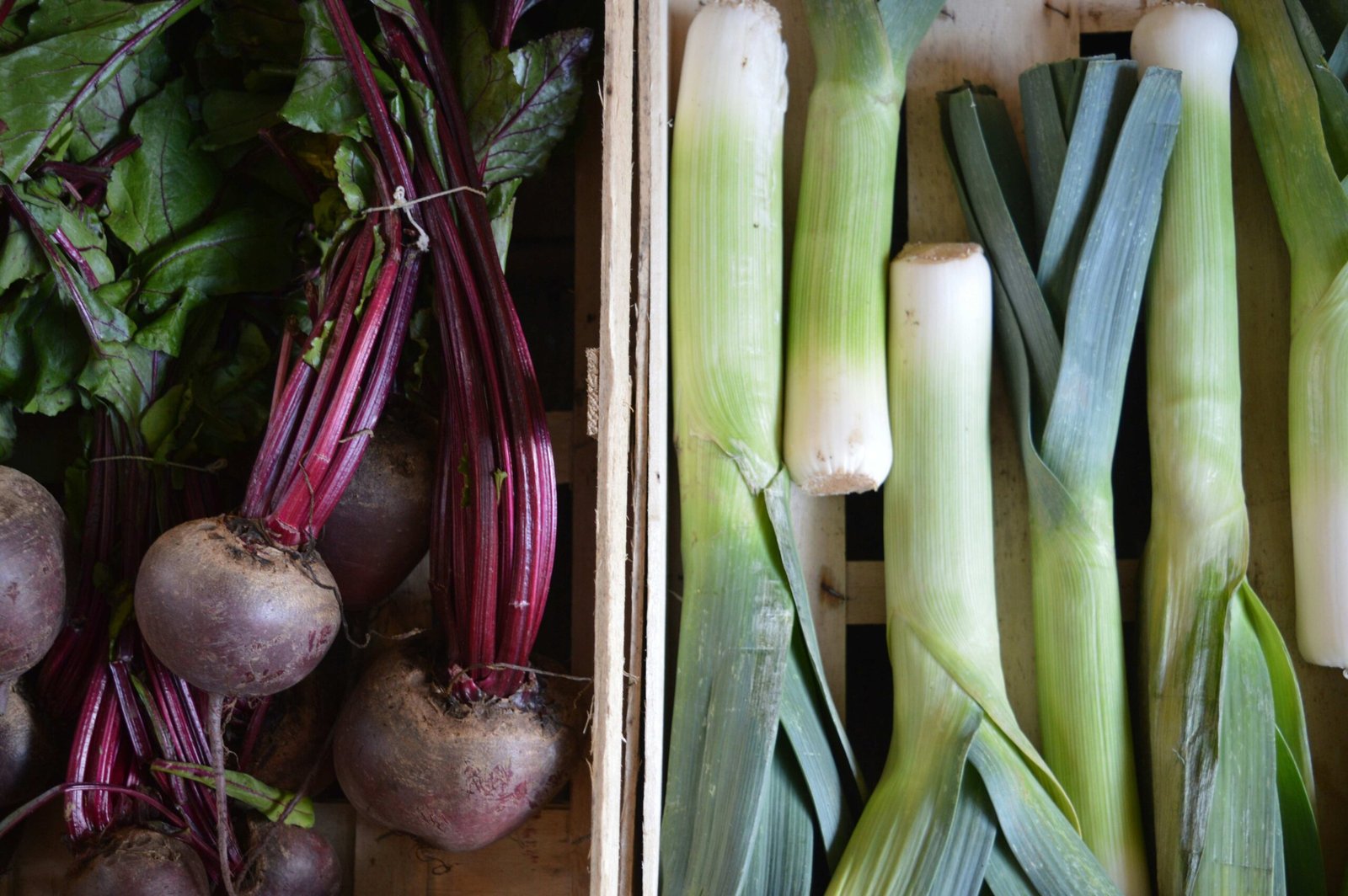Essential Vitamin Sources for Optimal Health