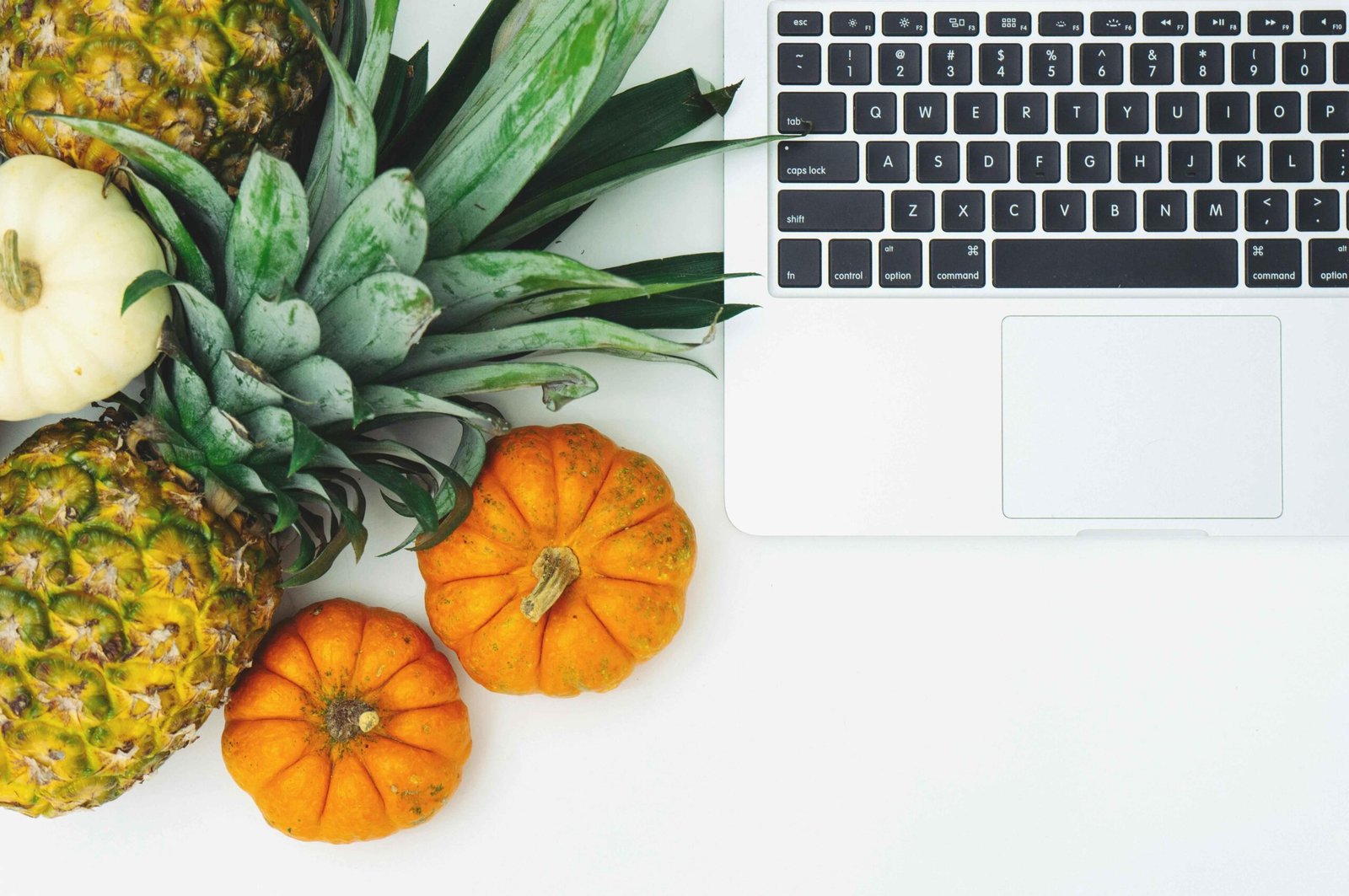 Optimal Meal Timing Strategies for Dietary Equilibrium