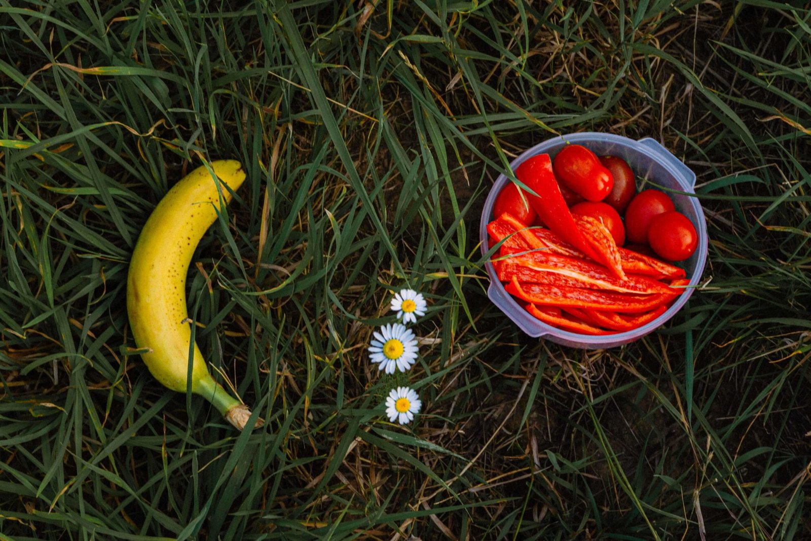 Meal Plan for Reducing Inflammation and Pain