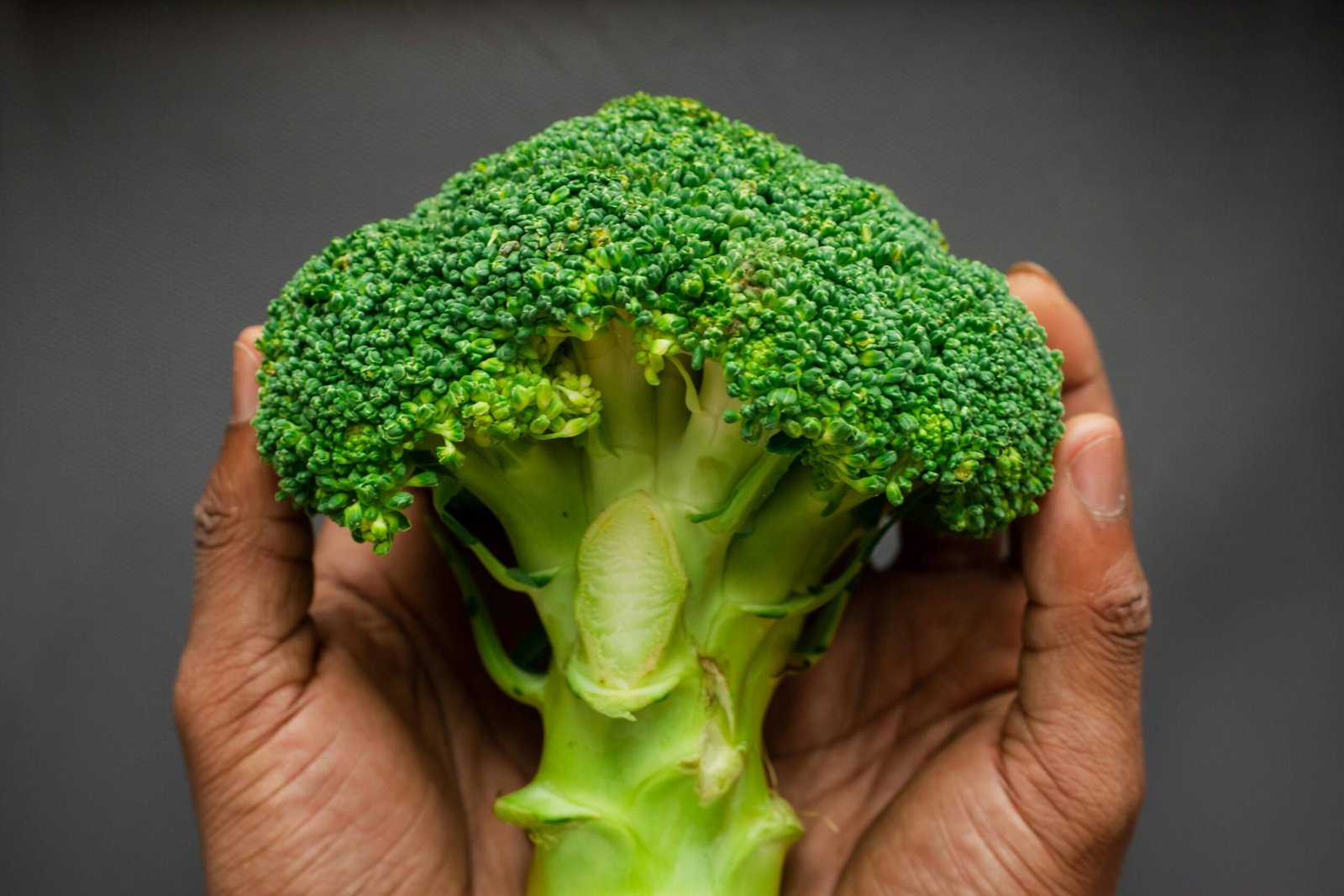 Essential Nutritional Strategies for Aging Adults